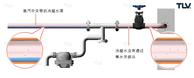 汽水分离器以及它们在蒸汽系统中扮演的角色