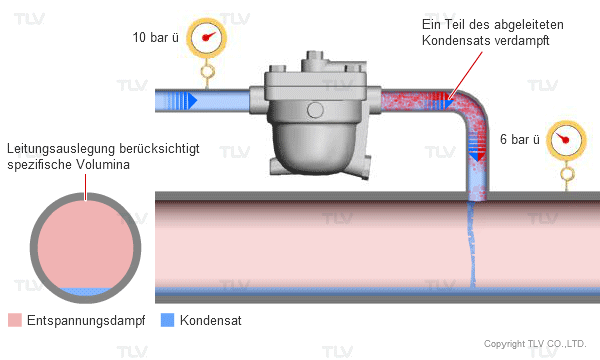 The Basic Mechanism of Steam Traps
