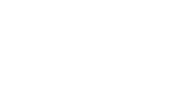 TLV Logo