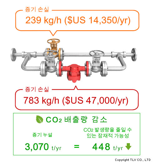 Estimated Losses from Area with 300 Steam Traps