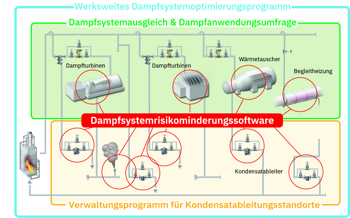 Umfang von SSRM