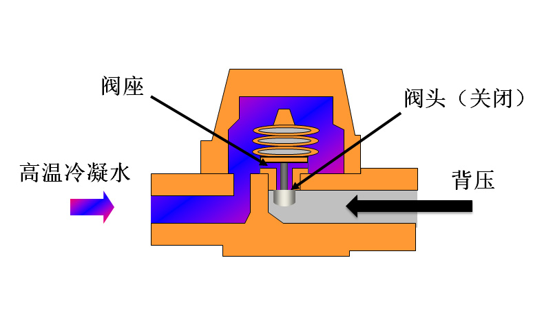 作用在下游阀头设计的双金属疏水阀上的背压产生的是闭阀力。如果背压过高，疏水阀将比预期关闭得早，导致冷凝水大量积存，形成低温故障。