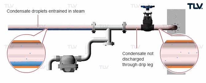 Separators and their Role in the Steam System 