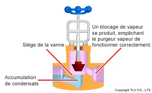 Vanne d'entrée du purgeur