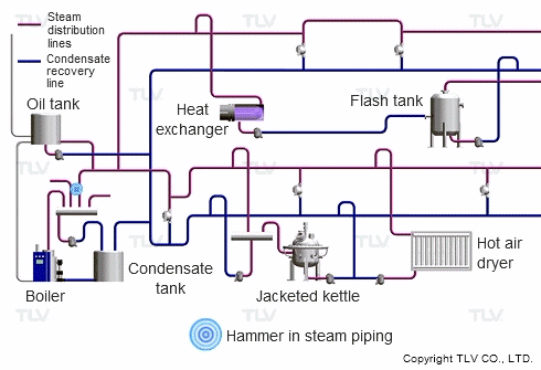 Places Water Hammer (Steam Hammer) Occurs, by Type