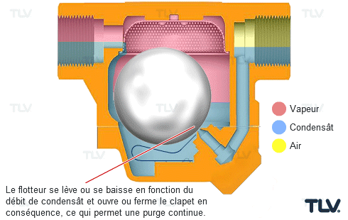 Alt Text