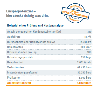 Prüfservice Einsparpotenzial