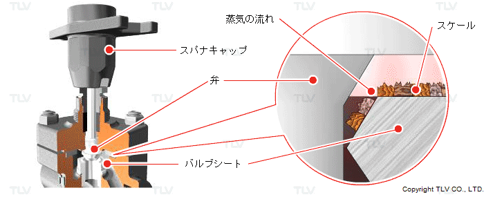 スケール除去可能な構造で内弁漏れ防止