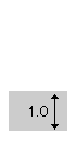 1.0mm