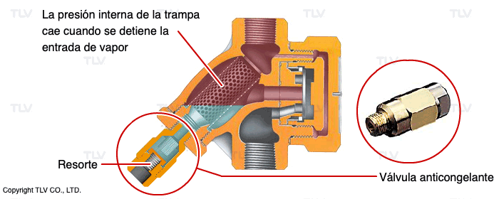 Válvula anticongelante automática  