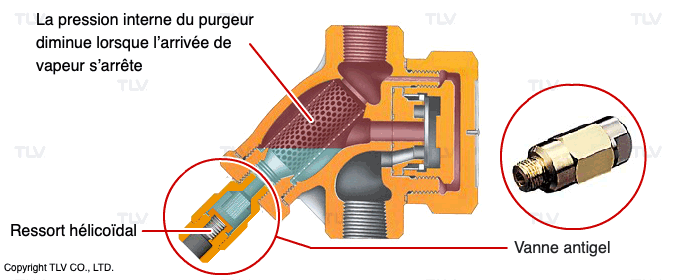 Soupape anti-gel automatique