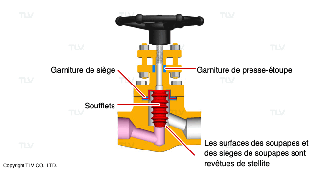 Vanne de sortie de purgeur