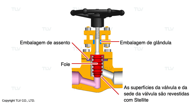 Válvula de saída do purgador