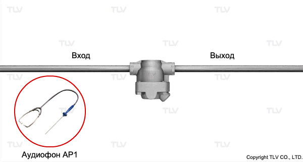 A special stethoscope with a combination of a listening needle and diaphragm is suitable