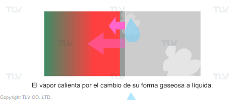 Calentamiento con Vapor Calentamiento con Vapor