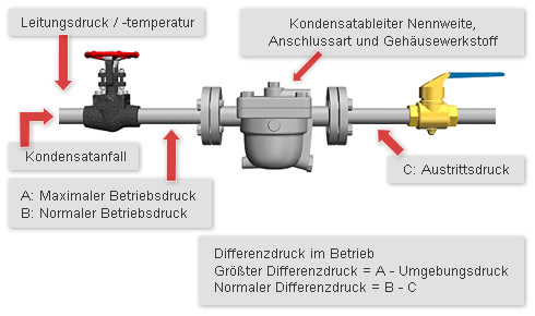 Installed Piping and Piping Connections