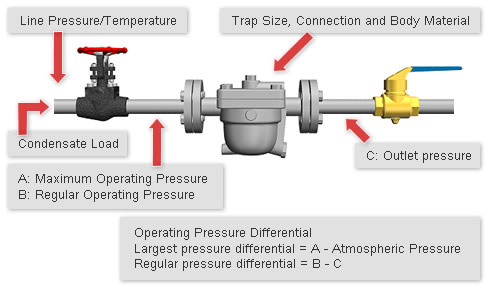 Installed Piping and Piping Connections