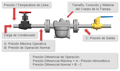 Installed Piping and Piping Connections