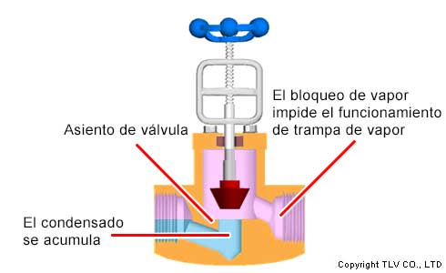 Válvula de entrada de trampa