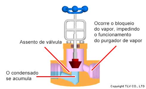 Válvula de entrada do purgador