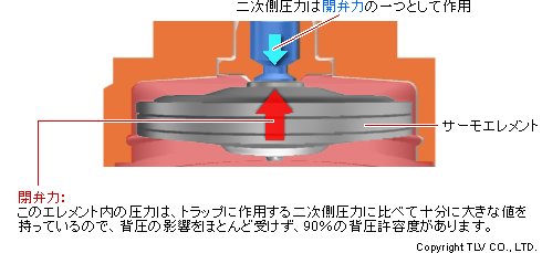 サーモスタティックトラップ（サーモエレメント）の背圧許容度