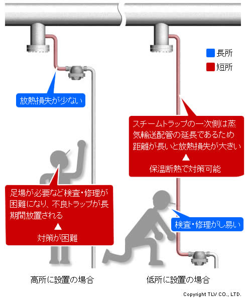 トラップの設置場所（高所と低所）の比較