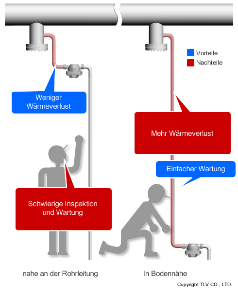 Setting Trap Close to Piping vs. Close to Ground