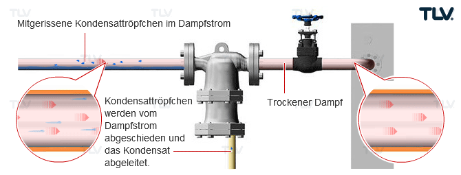 The separator is used to forcibly separate the condensate