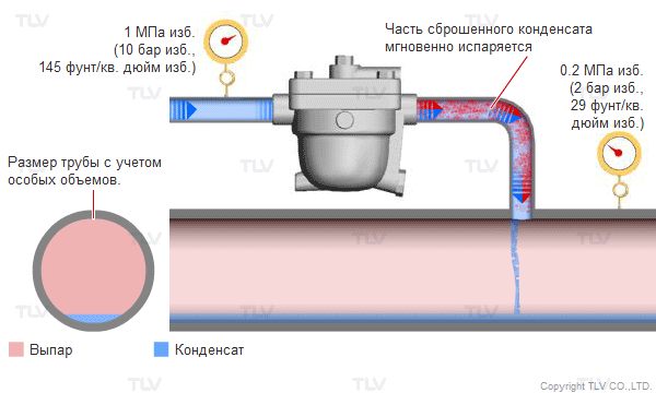 The Basic Mechanism of Steam Traps