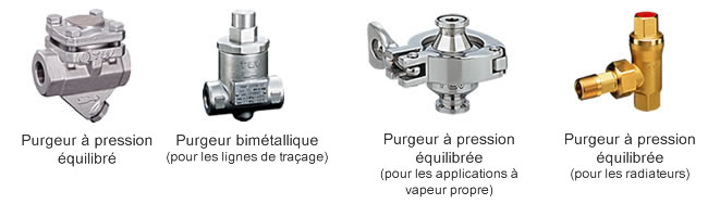 Thermostatic Steam Traps