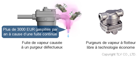 Steam leakage due to trap failure, energy-saving steam trap