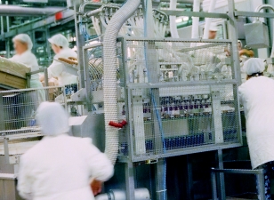 食品製造工場