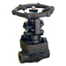 Bellows Sealed Valves