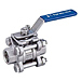 Stainless Steel Ball Valves