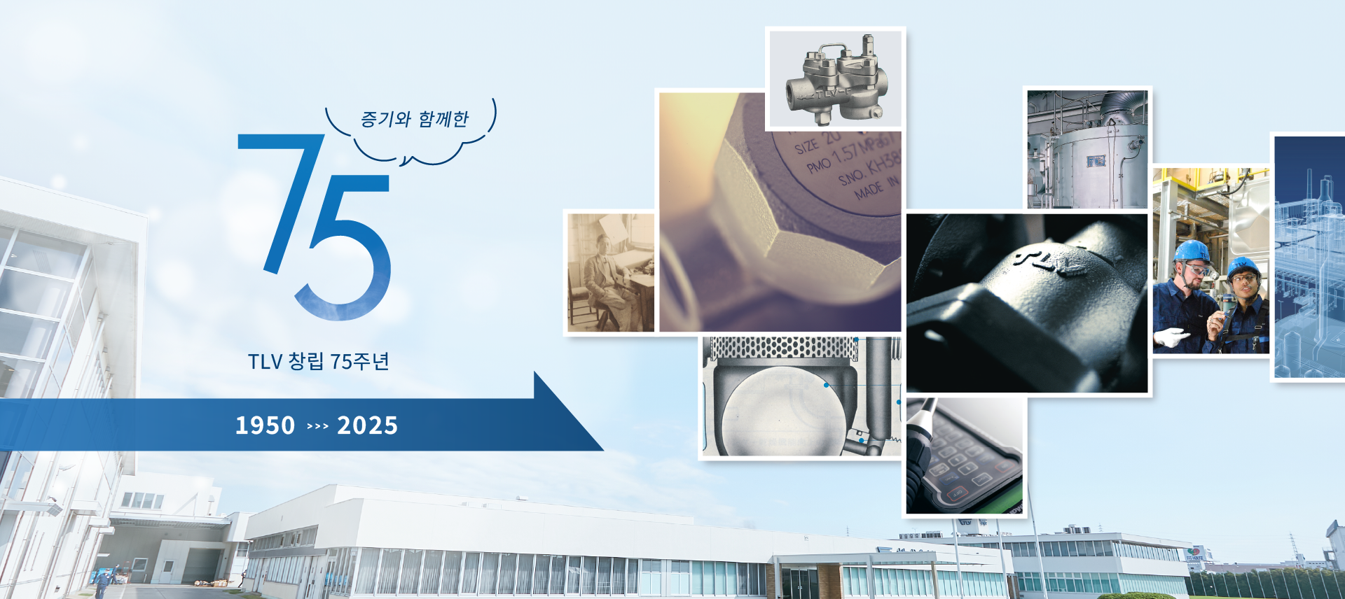 TLV 75th anniversary